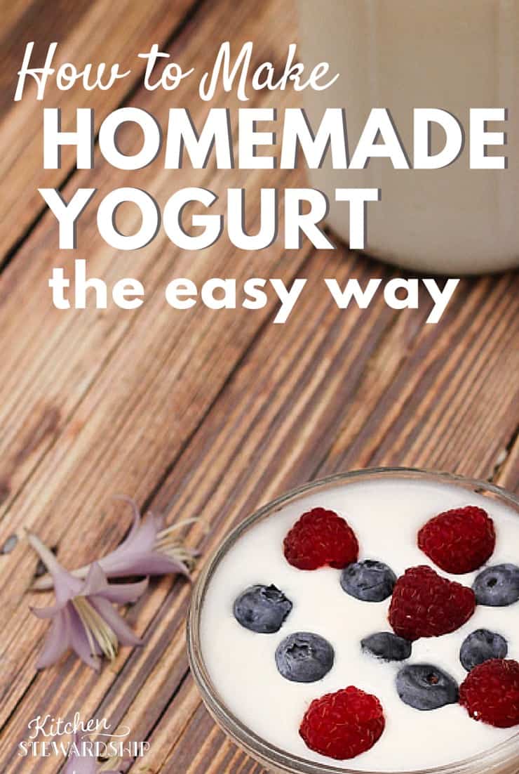 How to Make Homemade Yogurt The Easy Way