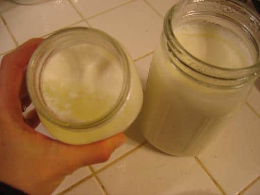 Homemade Yogurt Recipe and Troubleshooting