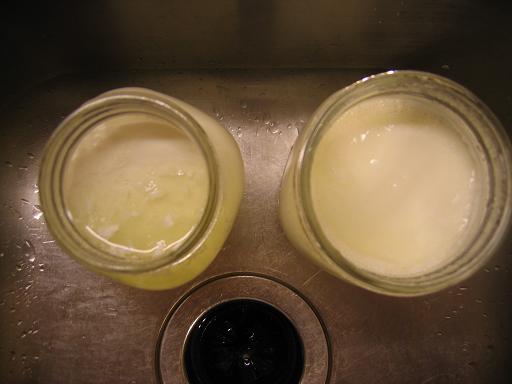 Homemade Yogurt Recipe and Troubleshooting