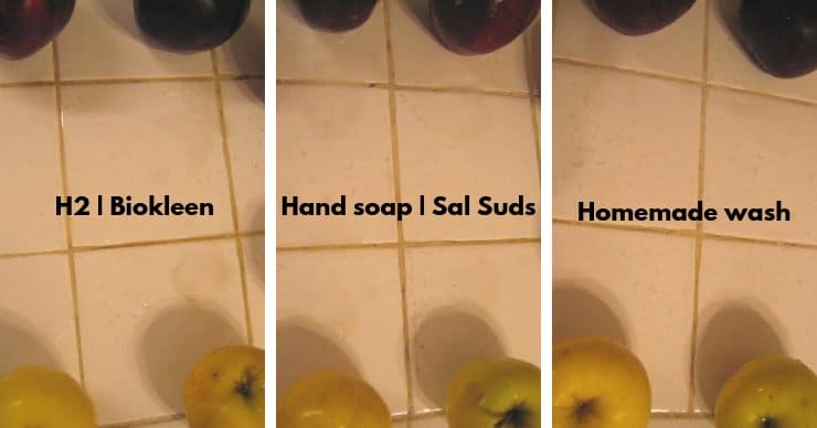 Produce wash testing