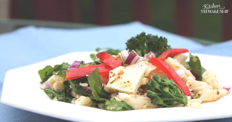 Four different kinds of big batch pasta salads - perfect for summer picnics, camping or barbecues. Greek pasta salad, pizza pasta salad, Spicy Red Pepper, and more!.