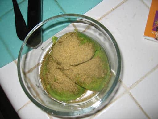 Easy Homemade Guacamole Recipe