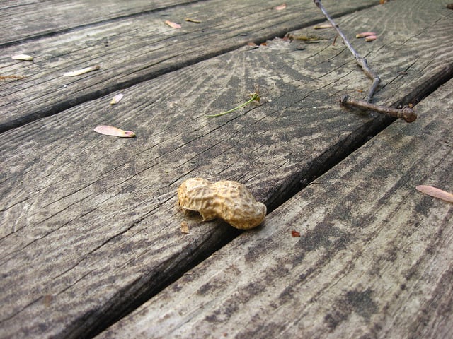 On Conscious Thought