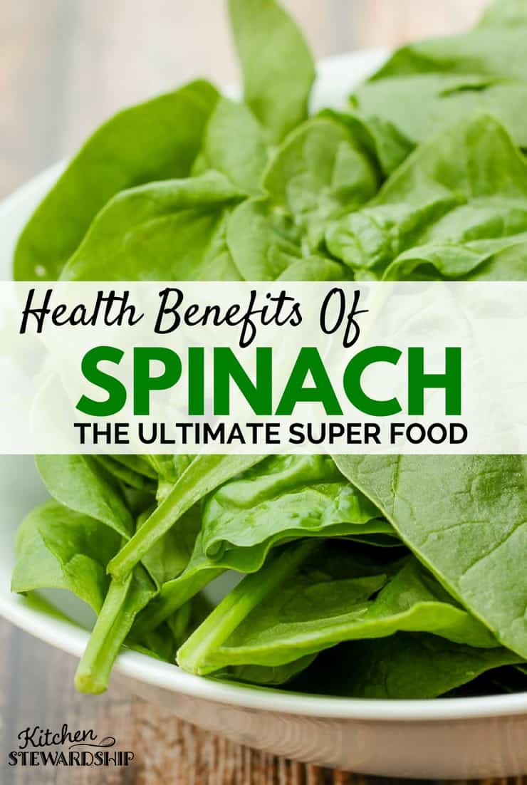 Spinach the Ultimate Super Food’s Health Benefits