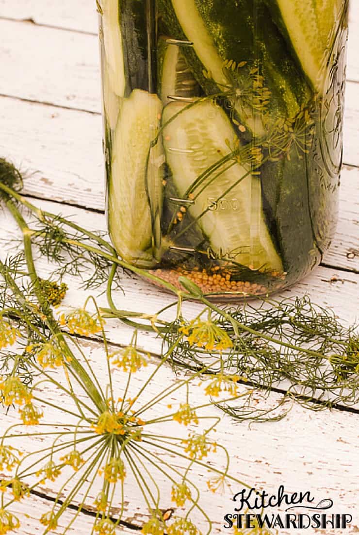Garlic Dill Pickles