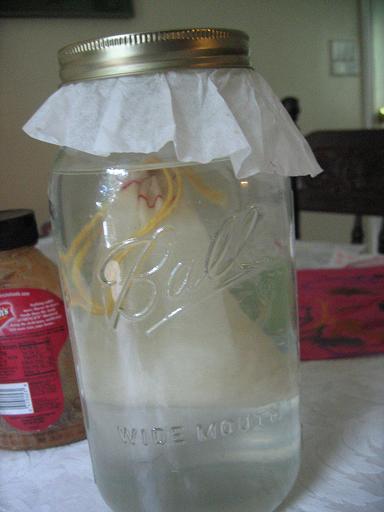 My kefir grains, perking along in their little bag, culturing my water.