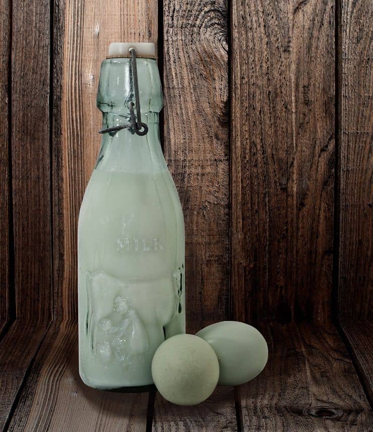 dairy-products_Gyvtswtu