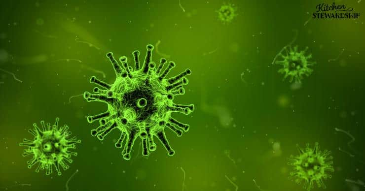 A depiction of a virus