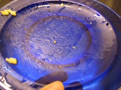 Nooo, not cheesy eggs! Katie, at least rinse off the cheesy eggs on glass! It's okay...Biokleen can handle it. :)