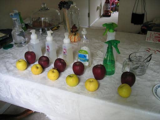 All lined up and ready to go!