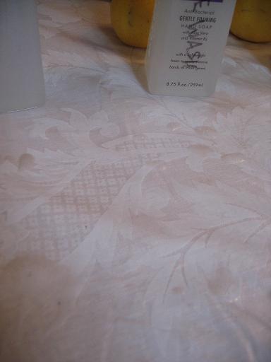 Shaklee H2 and Biokleen Produce Wash