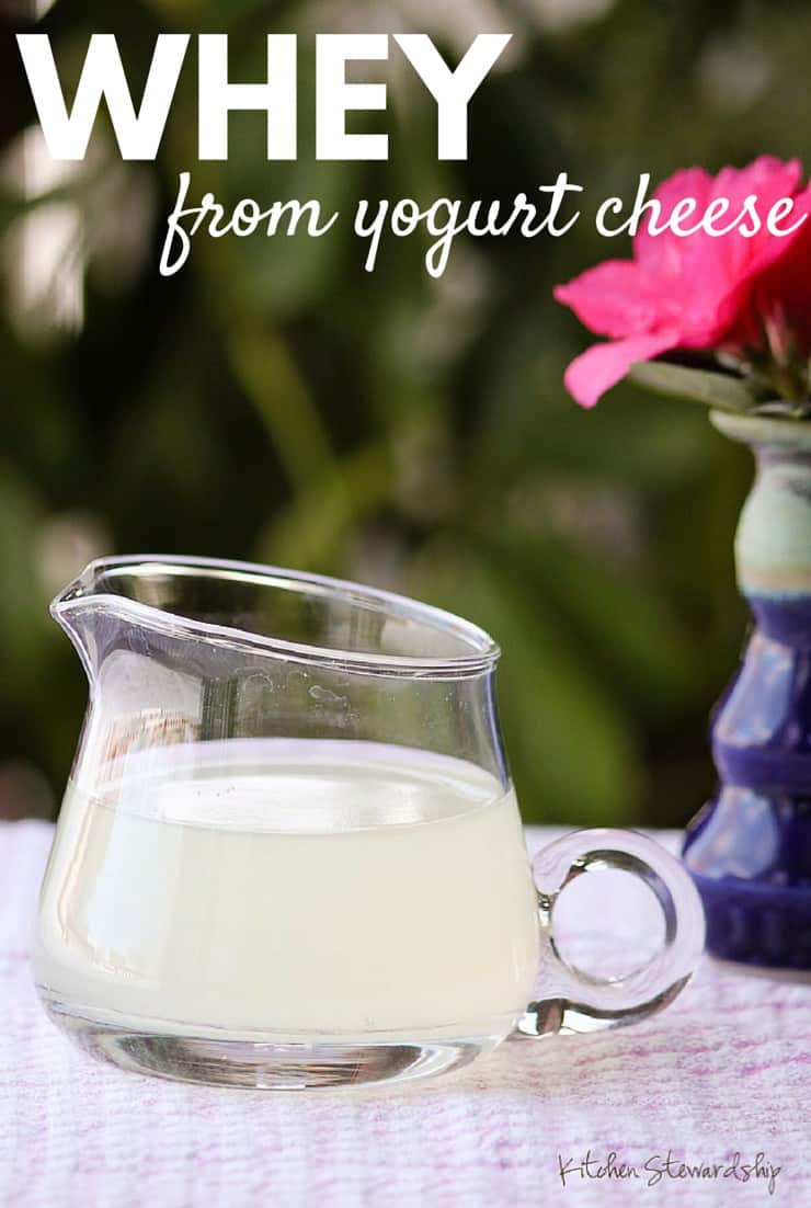 How to Make Whey and Yogurt Cheese
