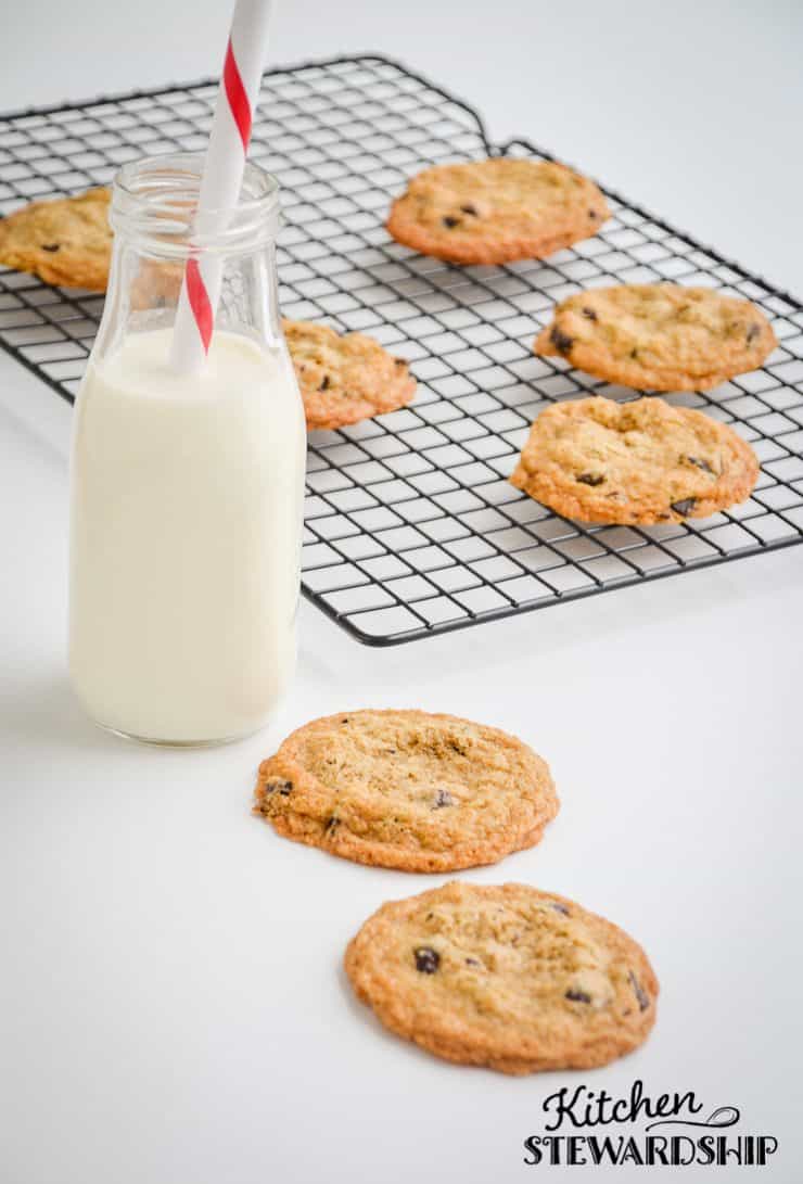 whole wheat chocolate chip cookies