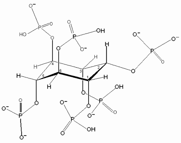 Ramiel Nagel author of Cure Tooth Decay