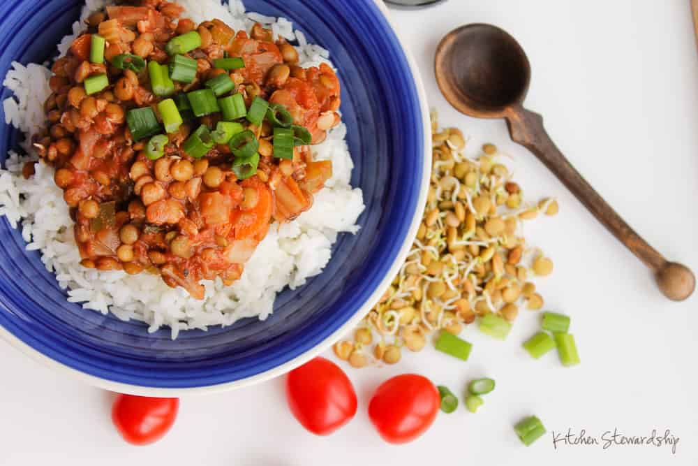 Hearty Lentil Stew Meatless