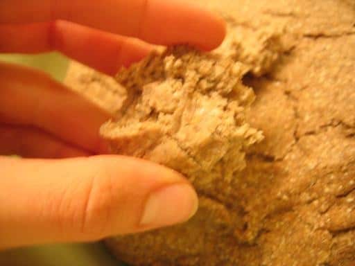 this is NOT developed gluten