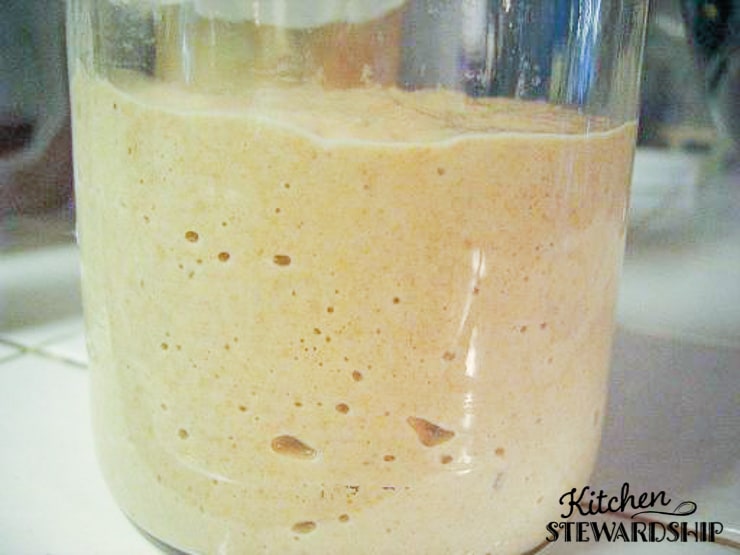 Soaked sourdough pizza crust