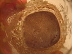 Make a Sourdough Starter: capture your own yeast from the air!