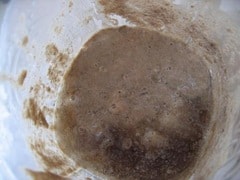 Make a Sourdough Starter: capture your own yeast from the air!