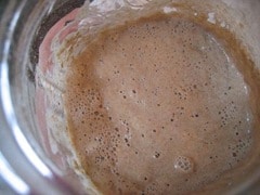 Make a Sourdough Starter: capture your own yeast from the air!