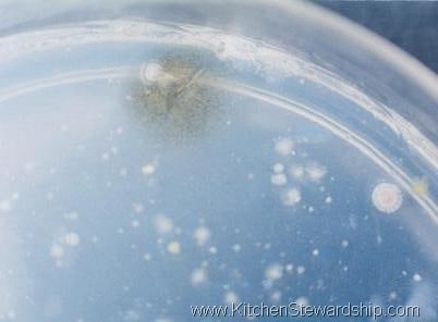 antibacterial hand soap experiment