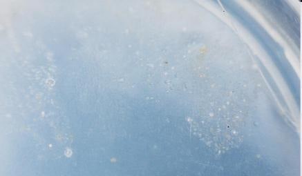 antibacterial hand soap experiment