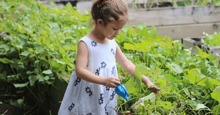 girl gardening weeds