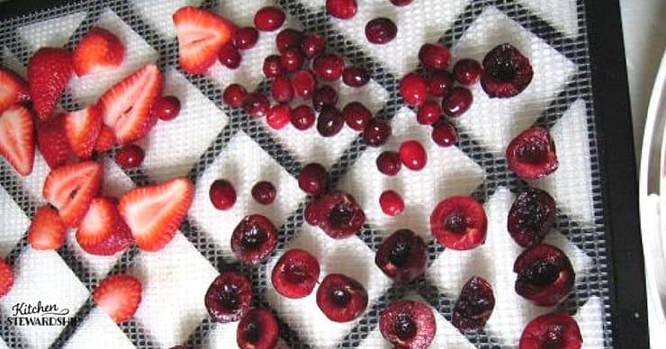 I've dried strawberries, cherries, bananas, apples, cranberries, crispy nuts (soaked and dehydrated nuts), soaked and dehydrated oats, crackers, and fruit rolls.