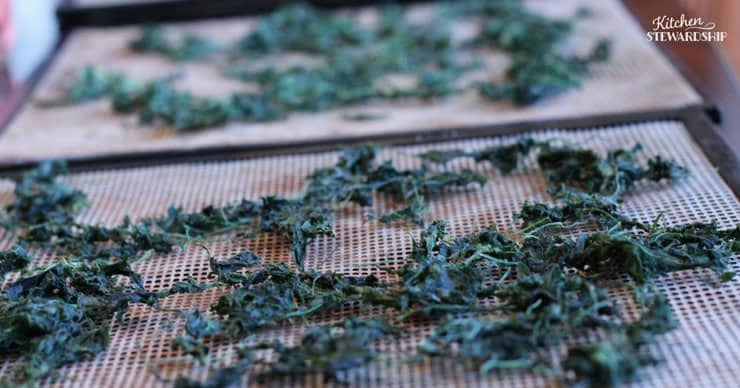 Excalibur dehydrator review