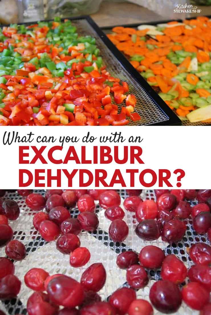 Excalibur dehydrator review