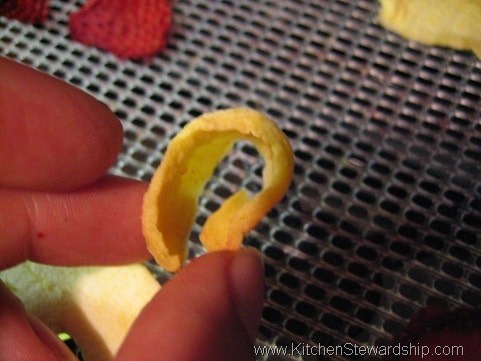 How to Dehydrate Fruit: Apples, Strawberries, Bananas and More!