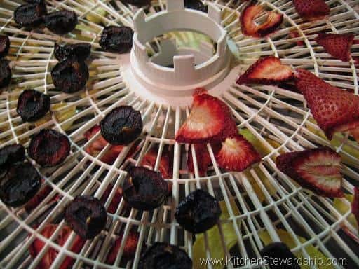 How to Dehydrate Fruit: Apples, Strawberries, Bananas and More!