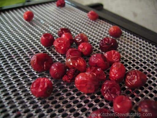 How to Dehydrate Fruit: Apples, Strawberries, Bananas and More!