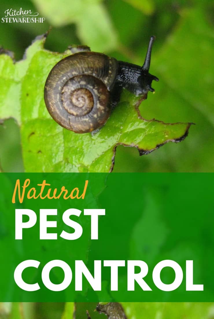 Organic Gardening Series Natural Pest Control