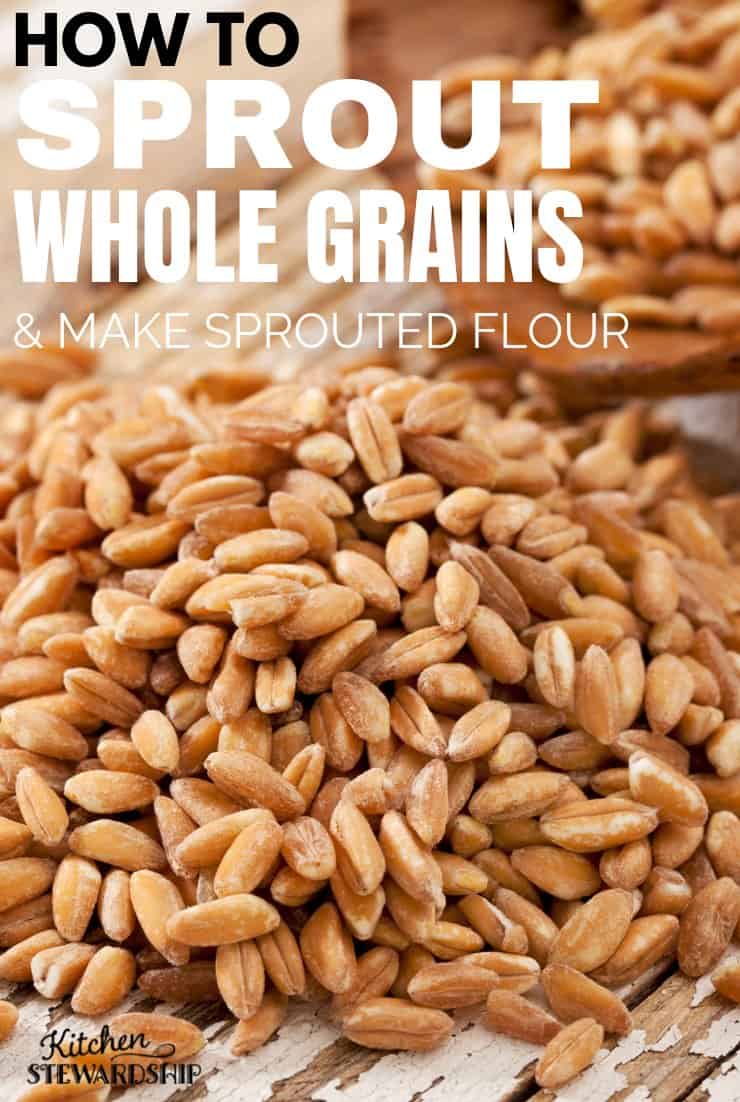 How to sprout whole grains and make sprouted flour