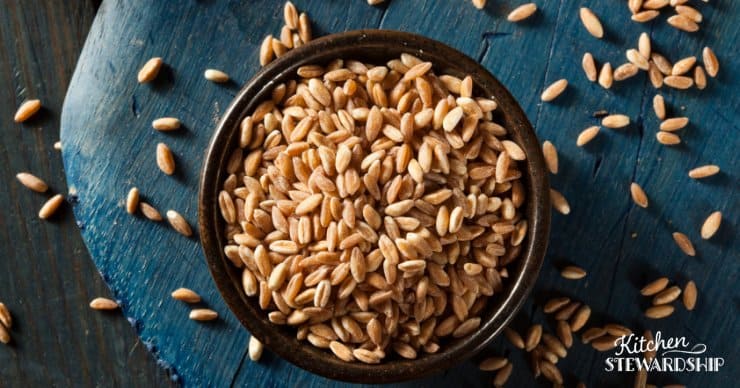Using a dehydrator, you can soak and sprout whole wheat berries, dehydrate them, then grind into sprouted flour for quick bread with reduced phytic acid. #realfood