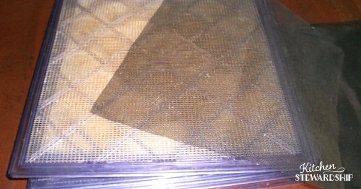 dehydrator mesh for wheat berries