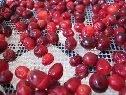 How to Dehydrate Fruit: Apples, Strawberries, Bananas and More!