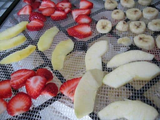 Not only are Veggie Chips munchy, crunchy, salty, and good for you, they’re also free of so many food allergens – which can be hard to come by in a snack food!