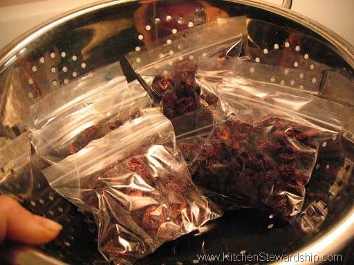 How to Dehydrate Fruit: Apples, Strawberries, Bananas and More!