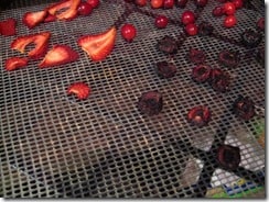 dried strawberries and cherries