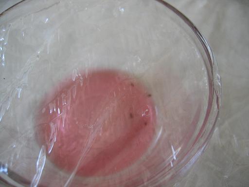 Easy Natural Fruit Fly Trap