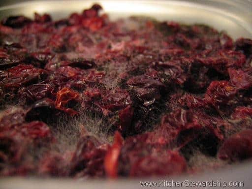 How to Dehydrate Fruit: Apples, Strawberries, Bananas and More!