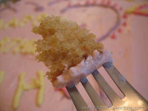 butterfly cake closeup