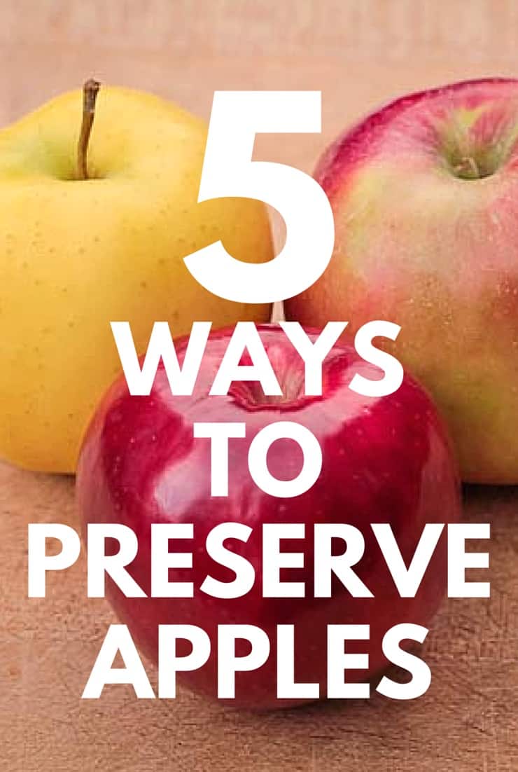 5 Ways to Preserve Apples 
