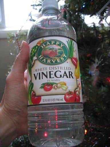 Natural Green Cleaners for the Home - Reviews and Recipes