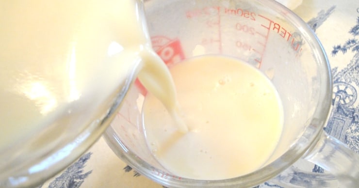 homemade sweetened condensed milk 