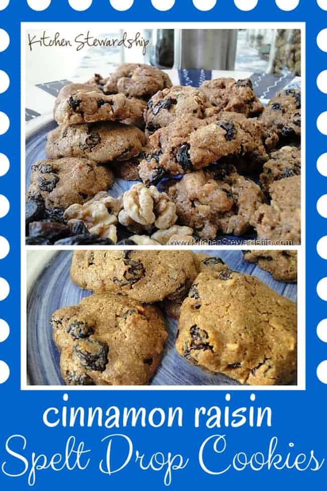 Cinnamon Raisin Spelt Drop Cookies