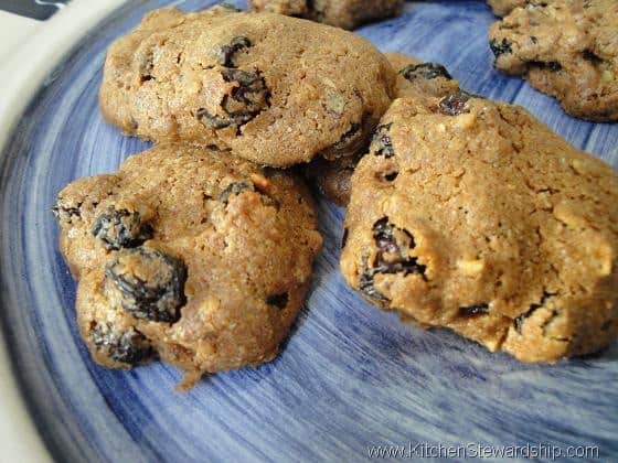 Cinnamon Raisin Spelt Drops (& Sprouted Option) - Adapted from a lovely recipe in the King Arthur Flour Whole Grain Baking cookbook, these little drop cookies are packed with raisins and cinnamon, both working with the suggestion of sweetness inherent to spelt so that the sweetener involved can be reduced.