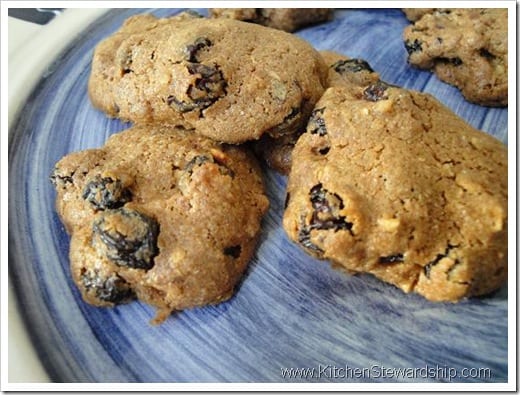 Cinnamon Raisin Spelt Drops (& Sprouted Option) - Adapted from a lovely recipe in the King Arthur Flour Whole Grain Baking cookbook, these little drop cookies are packed with raisins and cinnamon, both working with the suggestion of sweetness inherent to spelt so that the sweetener involved can be reduced.
